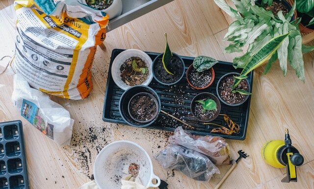 ziemia do kwiatów doniczkowych