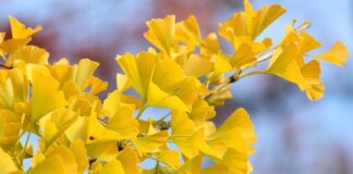 Co robi wentylator w klimatyzacji?