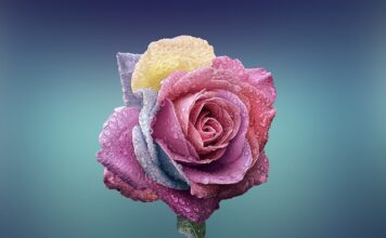 Czym się różni nawiew od klimatyzacji? Czym się różni nawiew od klimatyzacji?