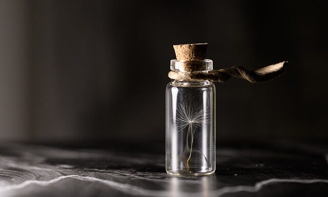 Jak zrobić sadzonki drzew iglastych?