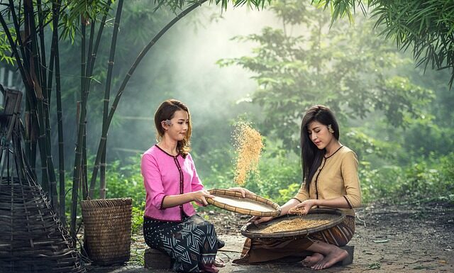 Co dzisiaj można siać?