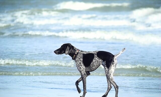 Czy można moczyć nasiona przed sadzeniem?