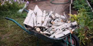 Czy chrust z lasu jest za darmo? Czy chrust z lasu jest za darmo?