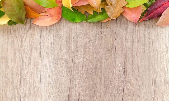 Czy wiata może stać na granicy działki? Czy wiata może stać na granicy działki?