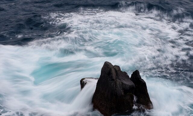 Jaka jest cena oleju hydraulicznego? Jaka jest cena oleju hydraulicznego?