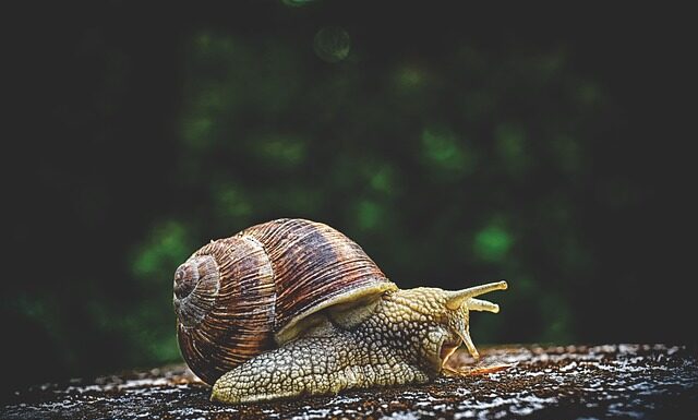 Do czego służy olej hydrauliczny?